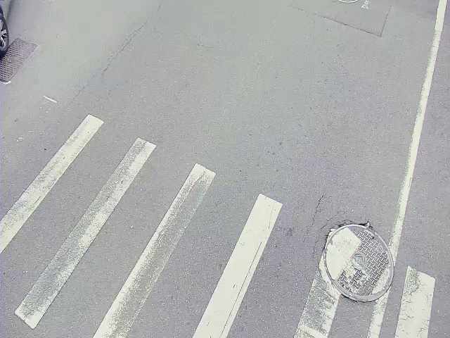 新生路(往東南)